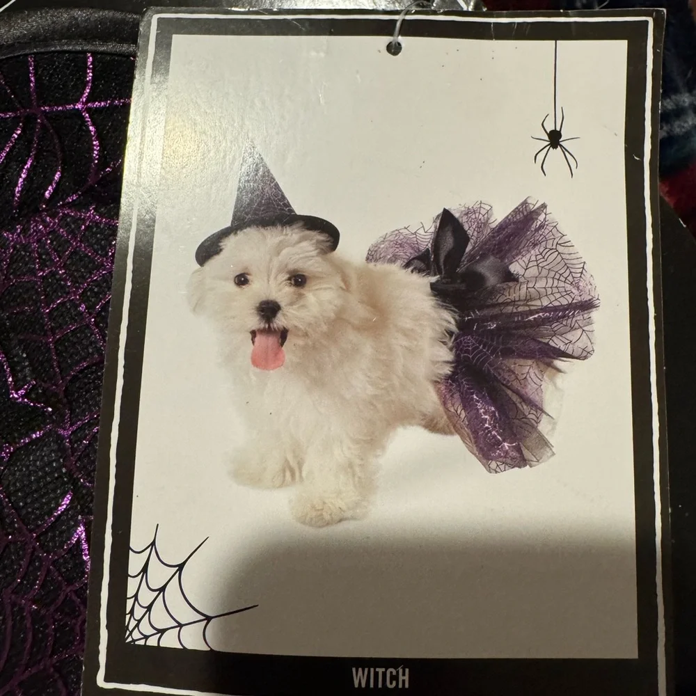 Martha Stewart adorable dog